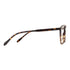 Sirts Dark Brown HD Acectate Aviator Full Rim - Lens Caravan